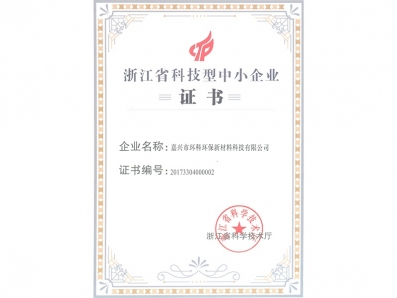 科技型中小企業(yè)