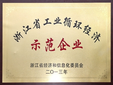 浙江省工業(yè)循環(huán)經(jīng)濟示范企業(yè)
